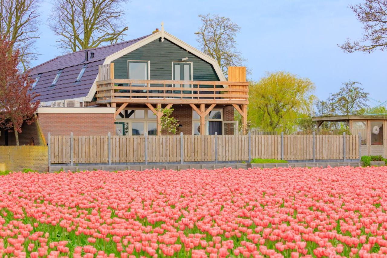 B&B Blossom Lisse Εξωτερικό φωτογραφία